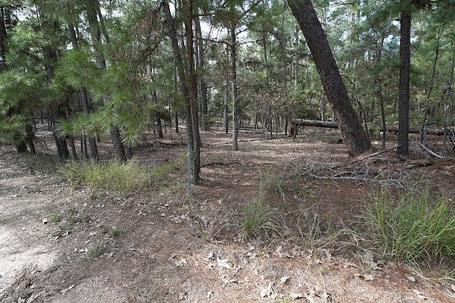 000 Red Fox Rd, La Grange, TX 78945 - photo 1