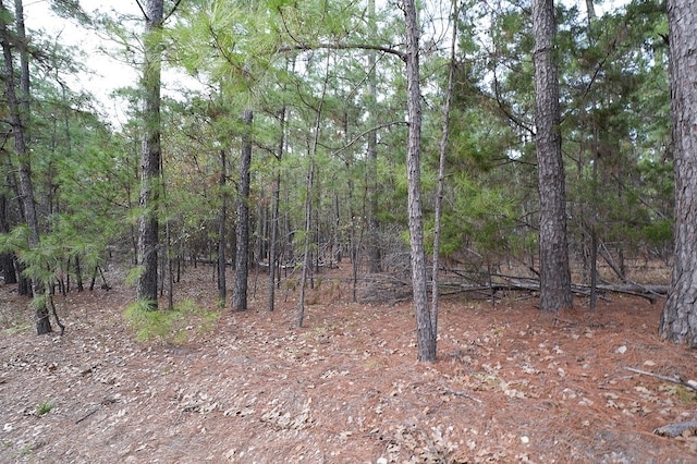 000 Red Fox Rd, La Grange, TX 78945 - photo 2