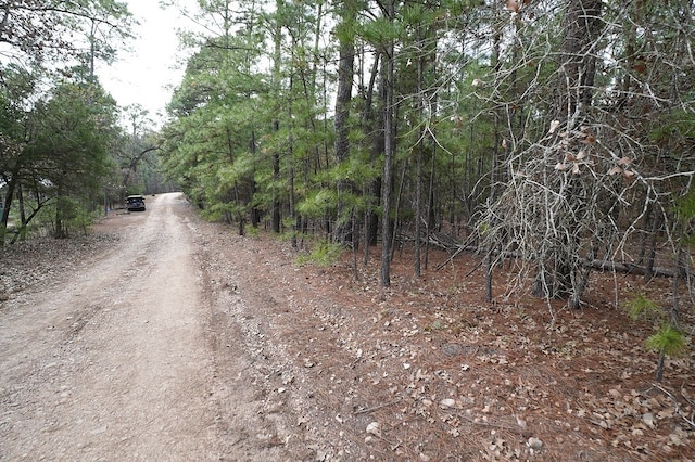 000 Red Fox Rd, La Grange, TX 78945 - photo 3