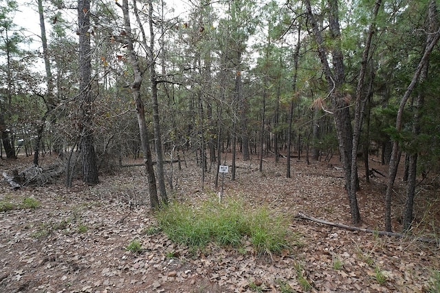 000 Red Fox Rd, La Grange, TX 78945 - photo 5