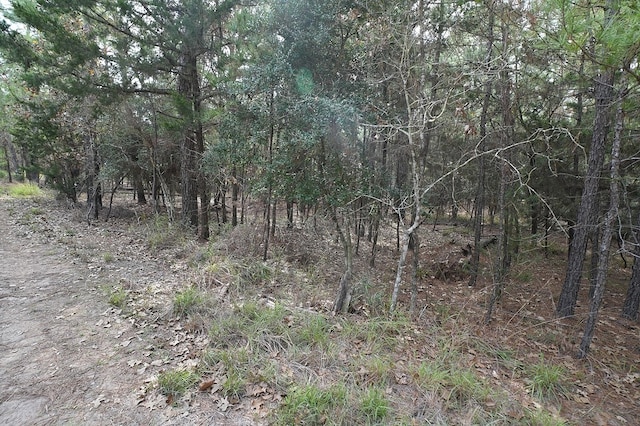 000 Red Fox Rd, La Grange, TX 78945 - photo 6