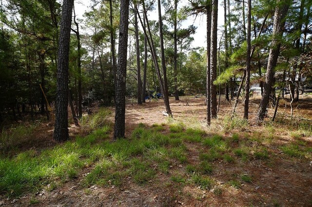 000 Red Fox Rd, La Grange, TX 78945