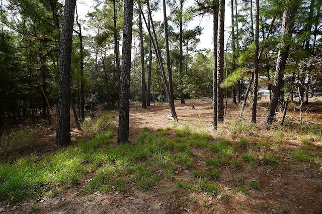 000 Red Fox Rd, La Grange, TX 78945 - photo 8