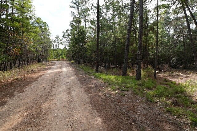000 Red Fox Rd, La Grange, TX 78945 - photo 9