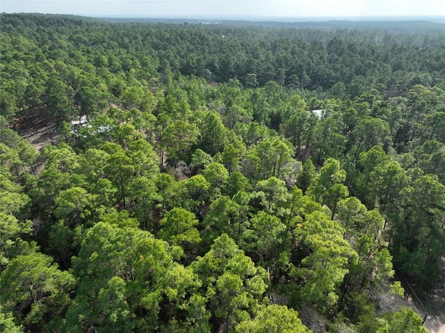 000 Red Fox Rd, La Grange, TX 78945 - photo 12