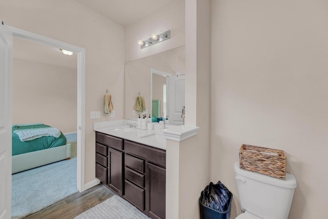 310 Garcitas Creek Ln, Hutto, TX 78634 - full bathroom featuring wood finished floors, double vanity, and toilet