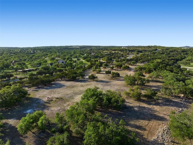 2400 W Fitzhugh Rd, Dripping Springs, TX 78630 - drone / aerial view