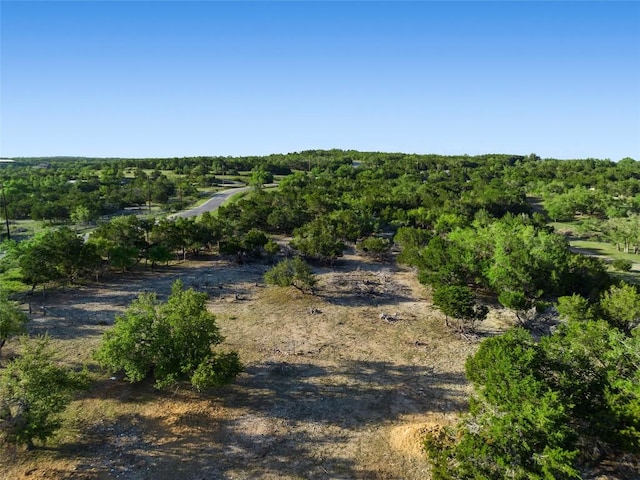2400 W Fitzhugh Rd, Dripping Springs, TX 78630 - aerial view of property's location