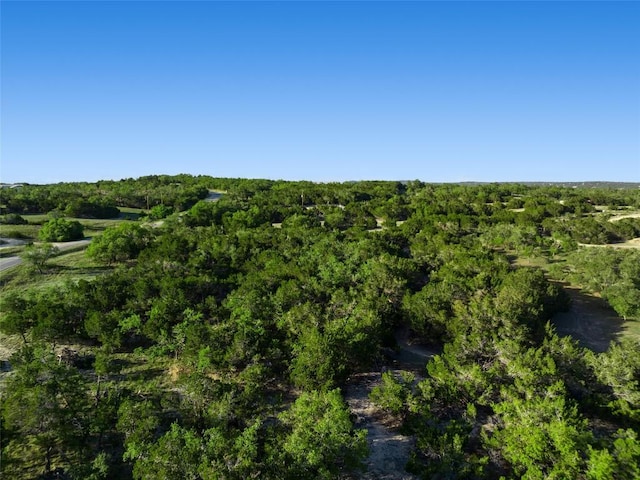 2400 W Fitzhugh Rd, Dripping Springs, TX 78630 - photo 27