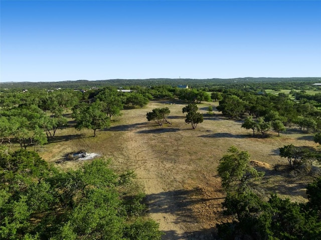 2400 W Fitzhugh Rd, Dripping Springs, TX 78630 - aerial view