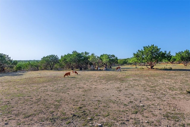 2400 W Fitzhugh Rd, Dripping Springs, TX 78630 - view of yard featuring a view of rural / pastoral area