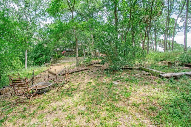 901 Hartrick Canyon Dr, Temple, TX 76502 - photo 32