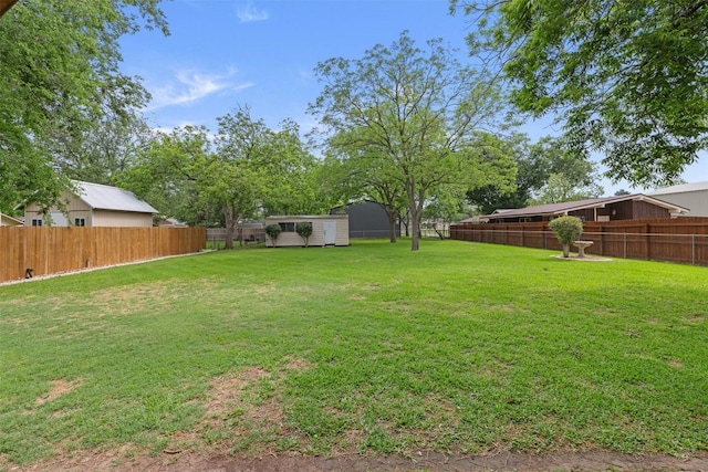 view of yard with a fenced backyard, a storage unit, and an outbuilding