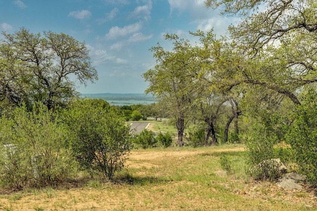 600 Mountain Dew Rd, Horseshoe Bay, TX 78657 - view of local wilderness