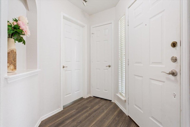 interior space featuring baseboards, plenty of natural light, and dark wood finished floors