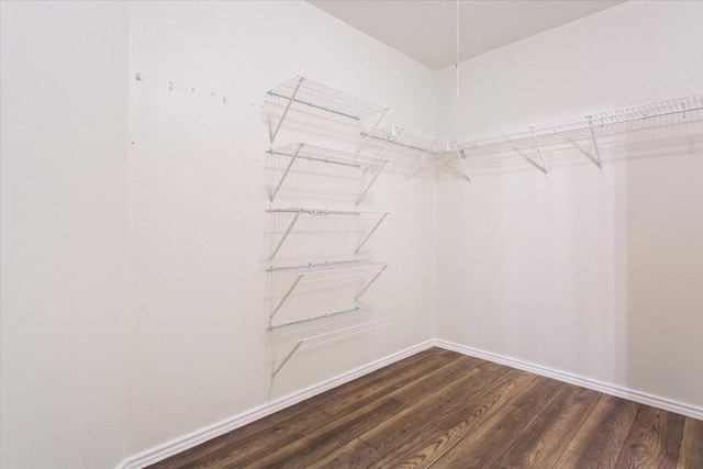 walk in closet featuring wood finished floors