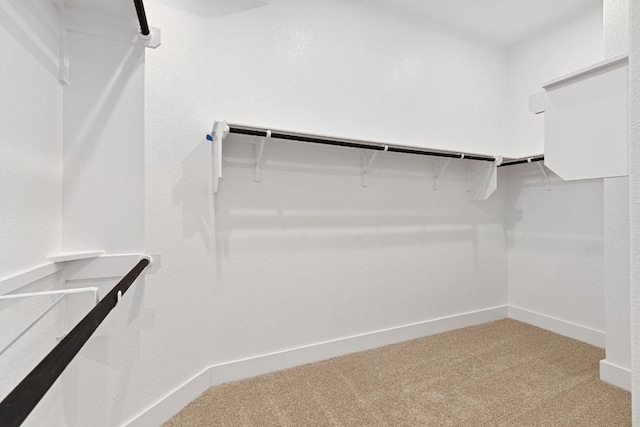 565 Raleigh Dr, Georgetown, TX 78633 - spacious closet featuring carpet floors
