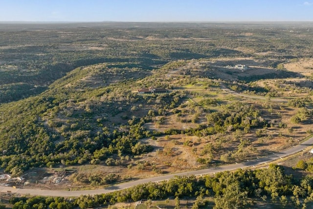 18700 Madrone Ranch Trl, Austin, TX 78738 - drone / aerial view