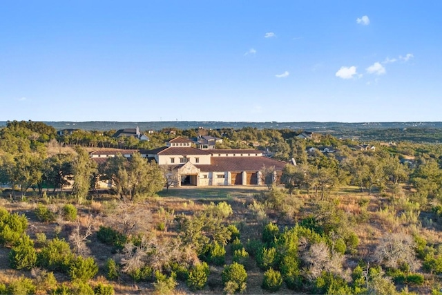 18700 Madrone Ranch Trl, Austin, TX 78738 - drone / aerial view
