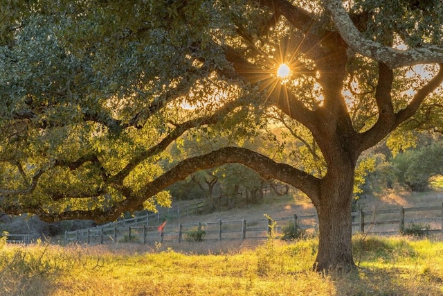 18700 Madrone Ranch Trl, Austin, TX 78738 - view of property's community with fence