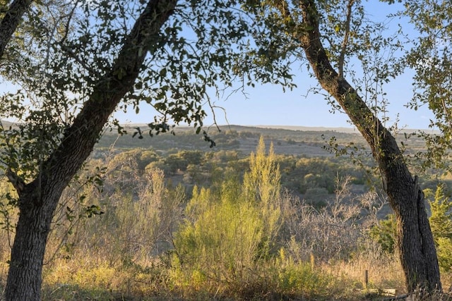 18700 Madrone Ranch Trl, Austin, TX 78738 - property view of mountains
