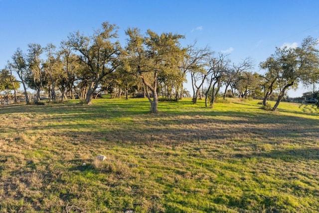 18700 Madrone Ranch Trl, Austin, TX 78738 - view of yard