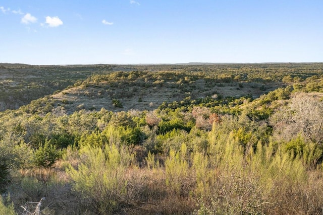 18700 Madrone Ranch Trl, Austin, TX 78738 - exterior space