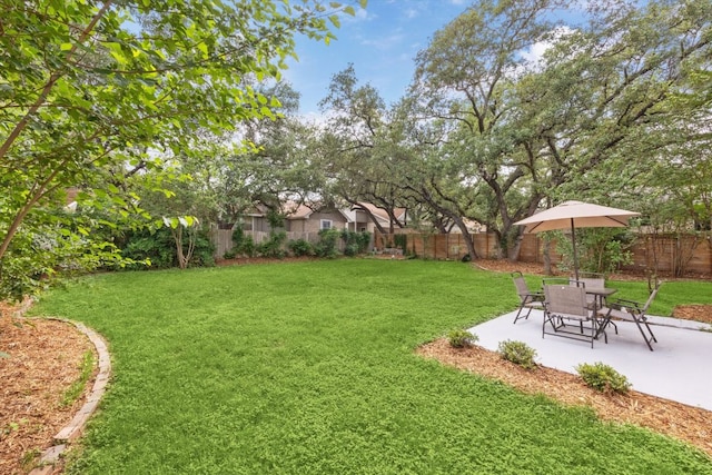 view of yard with a patio and a fenced backyard