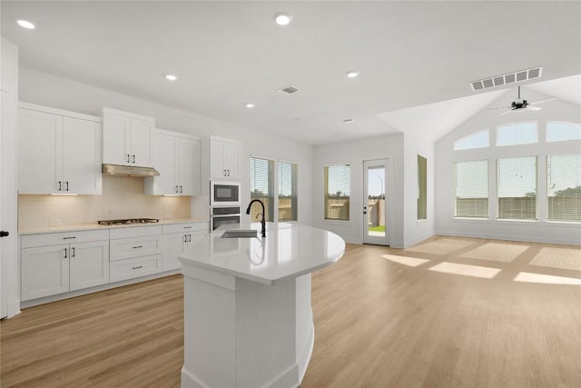 505 Golden Sage Ave, Georgetown, TX 78633 - kitchen with appliances with stainless steel finishes, under cabinet range hood, open floor plan, light wood finished floors, and tasteful backsplash