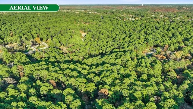 0 Makaha Dr, Bastrop, TX 78602 - photo 6