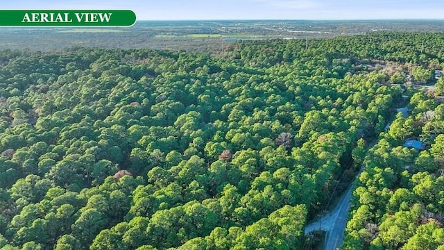0 Makaha Dr, Bastrop, TX 78602 - photo 8