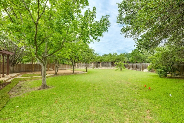 view of yard