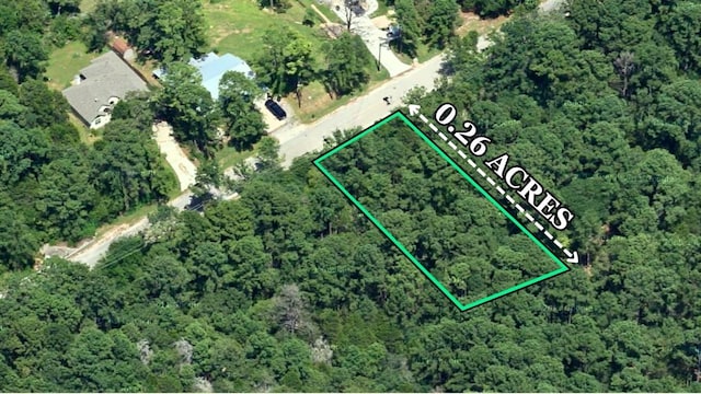 000 Kaanapali Ln, Bastrop, TX 78602 - photo 2