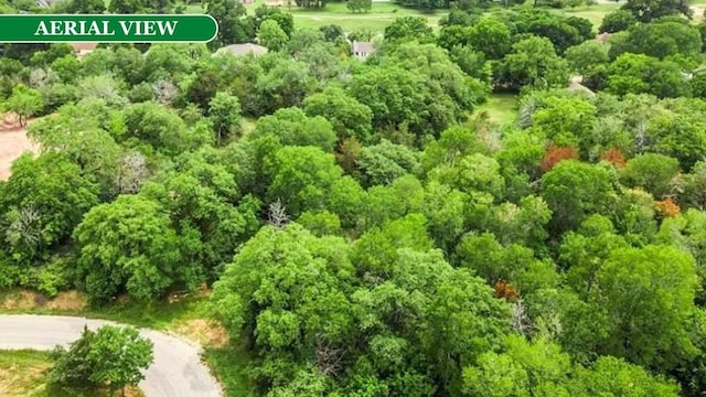 000 Kaanapali Ln, Bastrop, TX 78602 - photo 4