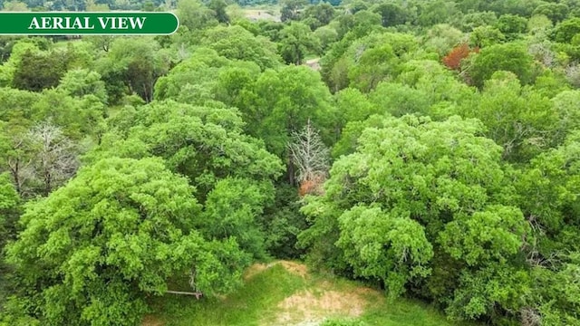 000 Kaanapali Ln, Bastrop, TX 78602 - photo 5
