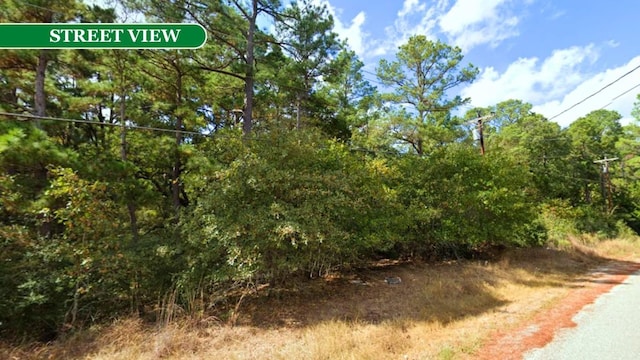 000 Kaanapali Ln, Bastrop, TX 78602 - photo 10