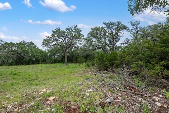 155 Crosswater Ln, Dripping Springs, TX 78620 - photo 9