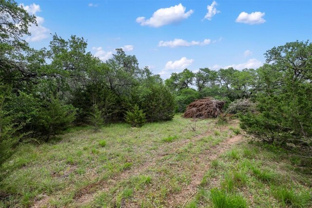 155 Crosswater Ln, Dripping Springs, TX 78620 - photo 10