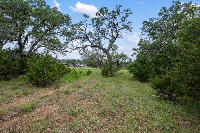 155 Crosswater Ln, Dripping Springs, TX 78620 - photo 11