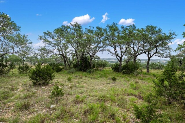 155 Crosswater Ln, Dripping Springs, TX 78620 - photo 14
