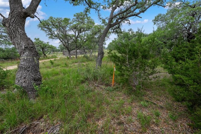 155 Crosswater Ln, Dripping Springs, TX 78620 - photo 15