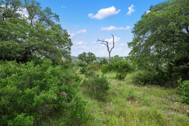 155 Crosswater Ln, Dripping Springs, TX 78620 - photo 19