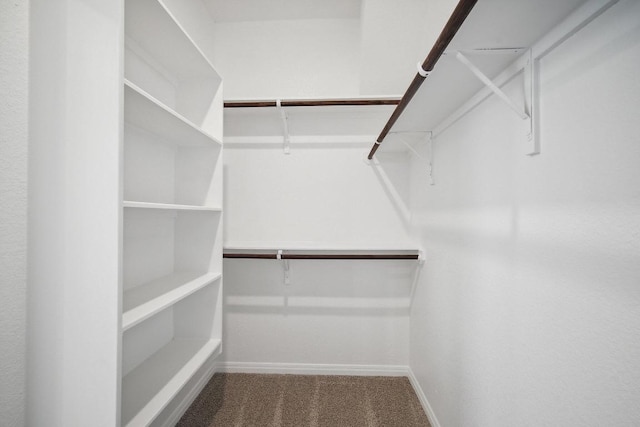 walk in closet featuring carpet floors