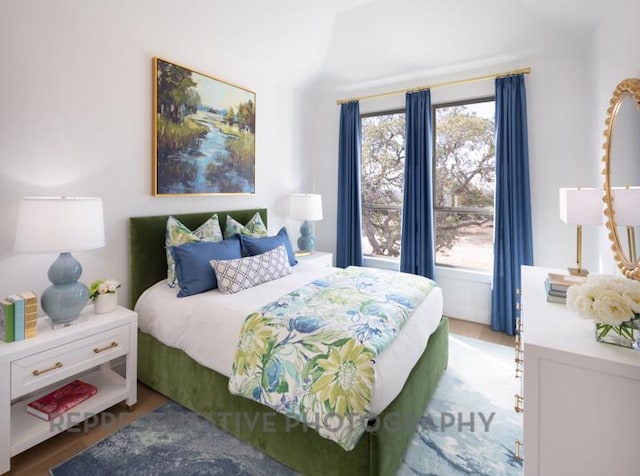 bedroom featuring vaulted ceiling