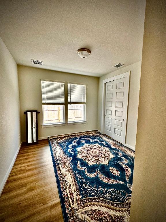 4319 Port Hope St, Round Rock, TX 78665 - foyer entrance featuring wood finished floors and a textured ceiling