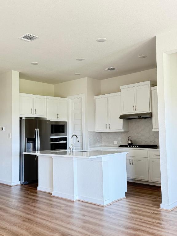 4319 Port Hope St, Round Rock, TX 78665 - kitchen featuring stainless steel appliances, under cabinet range hood, light wood finished floors, white cabinetry, and decorative backsplash