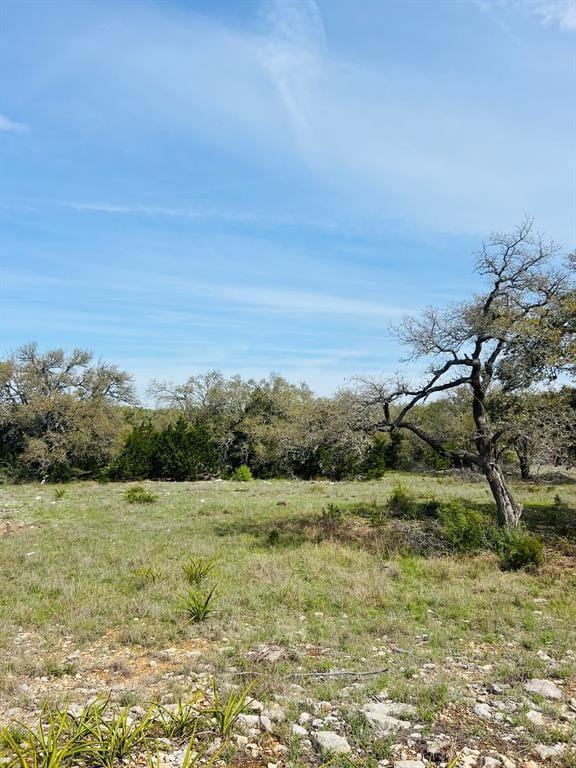 LOT8 W Flying Owl Dr, Johnson City, TX 78636