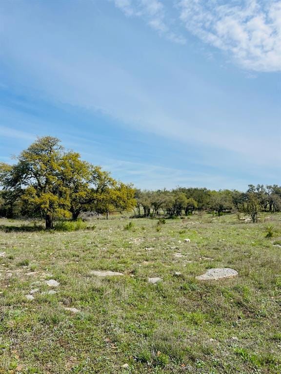 LOT8 W Flying Owl Dr, Johnson City, TX 78636