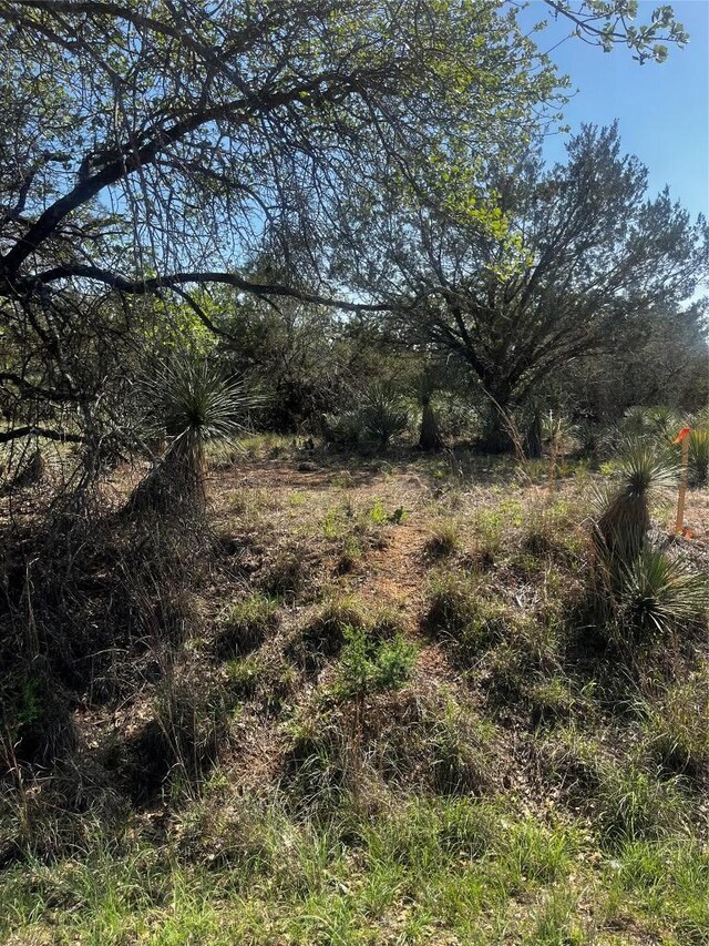 0 Castlebriar St, Granite Shoals, TX 78654