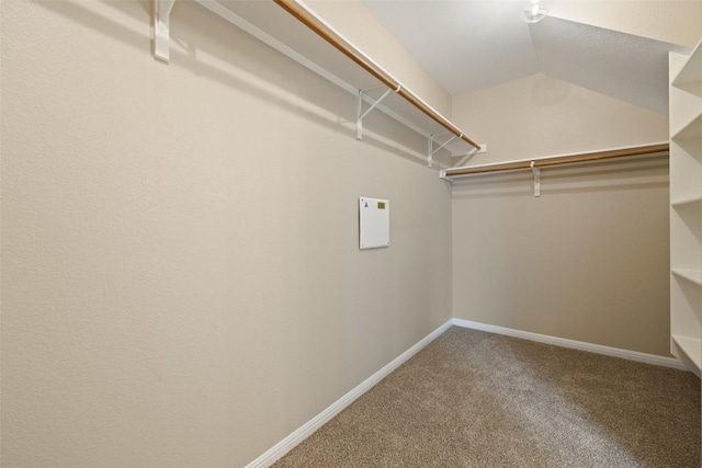 walk in closet with lofted ceiling and carpet
